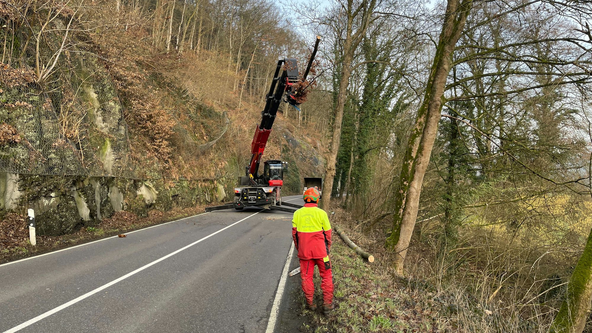 Ein Mann in Arbeitskleidung und mit Helm steht an einer von Bäumen gesäumten Straße. Links ist ein mit einem Drahtnetz gesicherter, szteiler Fels zu sehen EIn Bagger hält einen Baumstamm.