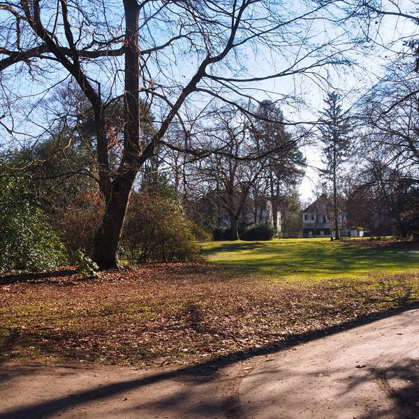 Der Südpark in Köln-Marienburg ist zum Spazieren ideal.