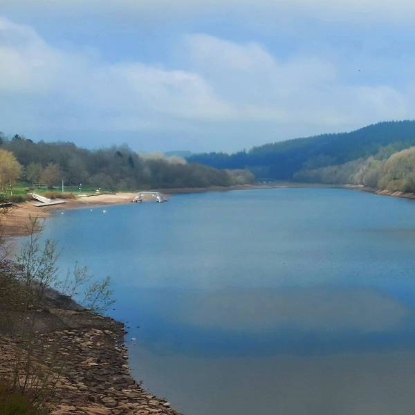 Der Kronenburger See in Dahlem im Winterstau