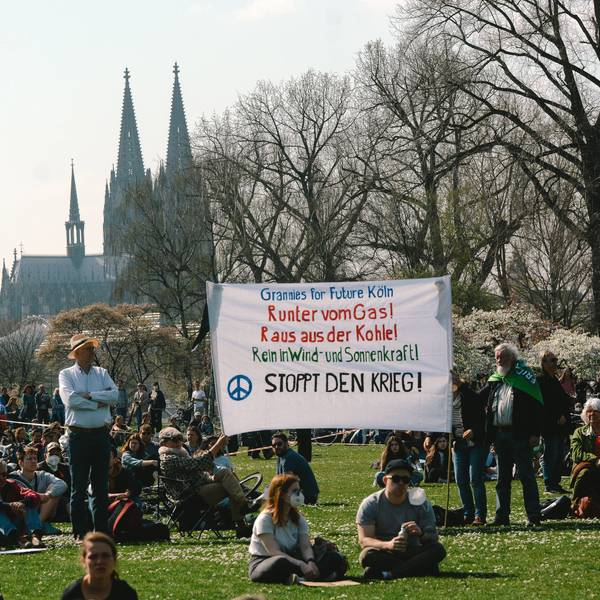Demonstranten im Rheinpark bei gutem Wetter – Im Hintergrund der Kölner Dom