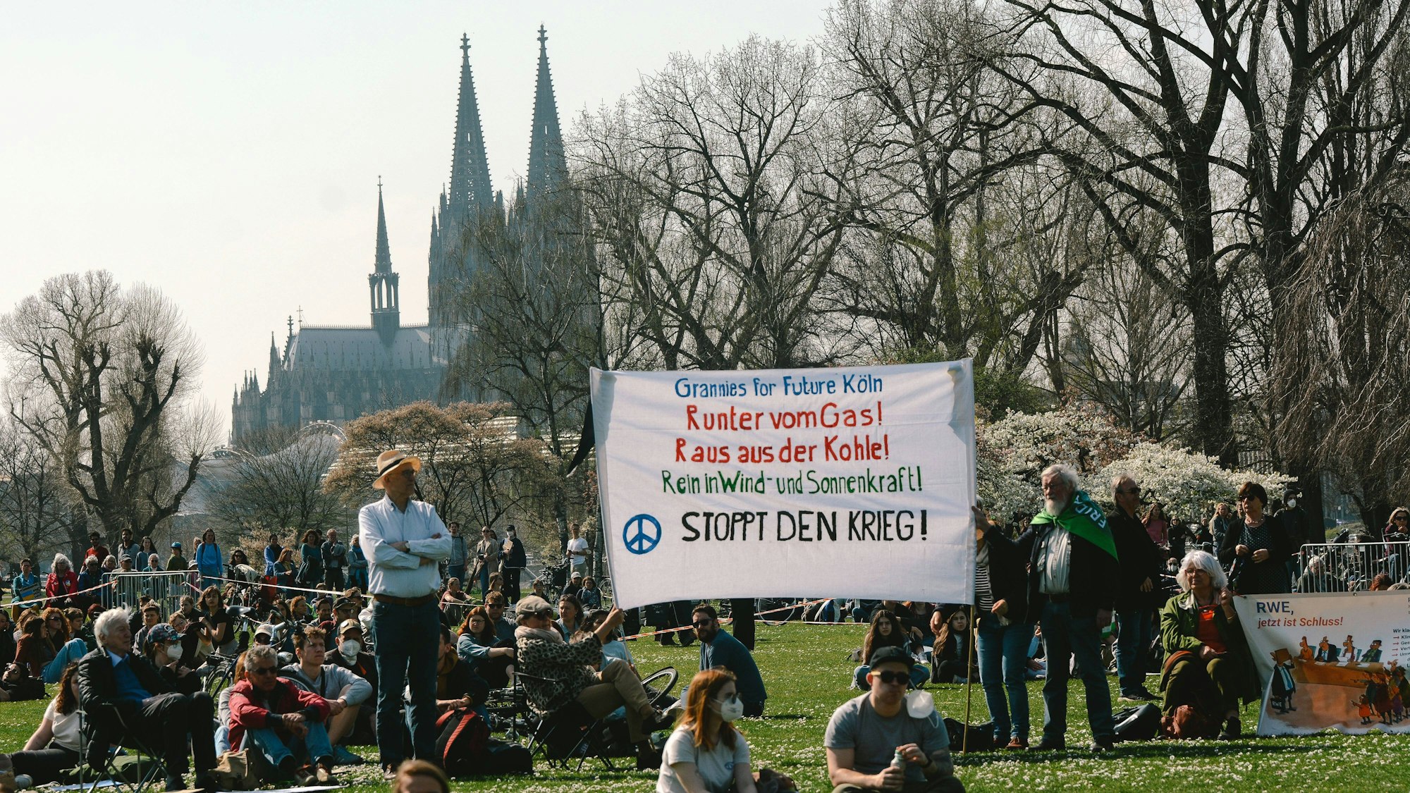 Demonstranten im Rheinpark bei gutem Wetter – Im Hintergrund der Kölner Dom