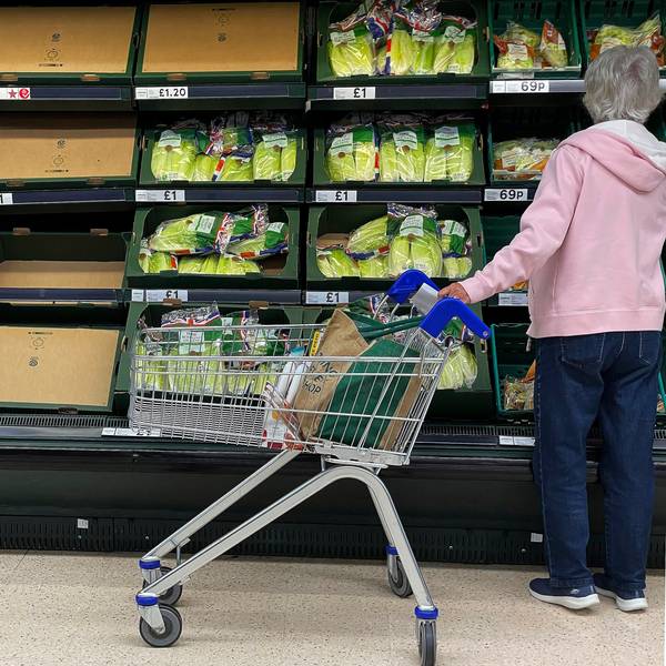 Eine Frau steht vor teilweise leeren Gemüse-Regalen in einem Supermarkt. Großbritannien muss sich nach Angaben seiner heimischen Bauern um Lebensmittel aus heimischer Produktion zunehmend Sorgen machen. (Archivbild)