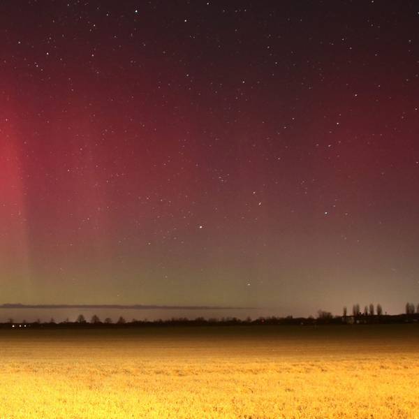 Polarlichter leuchten über Brandenburg auf dieser Nachtaufnahme mit Langzeitbelichtung. Eine starke Eruption auf der Sonne hat zu den roten und grünen Leuchteffekten in der Atmosphäre geführt, die man sonst nur im nördlichen Skandinavien oder auf Island sehen kann. Das Naturschauspiel war an dunklen Orten in Brandenburg und Sachsen-Anhalt besonders gut zu sehen.