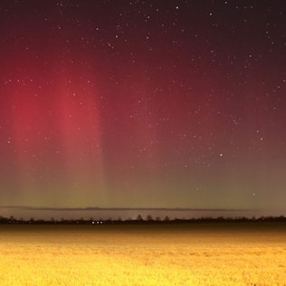 Polarlichter leuchten über Brandenburg auf dieser Nachtaufnahme mit Langzeitbelichtung. Eine starke Eruption auf der Sonne hat zu den roten und grünen Leuchteffekten in der Atmosphäre geführt, die man sonst nur im nördlichen Skandinavien oder auf Island sehen kann. Das Naturschauspiel war an dunklen Orten in Brandenburg und Sachsen-Anhalt besonders gut zu sehen.