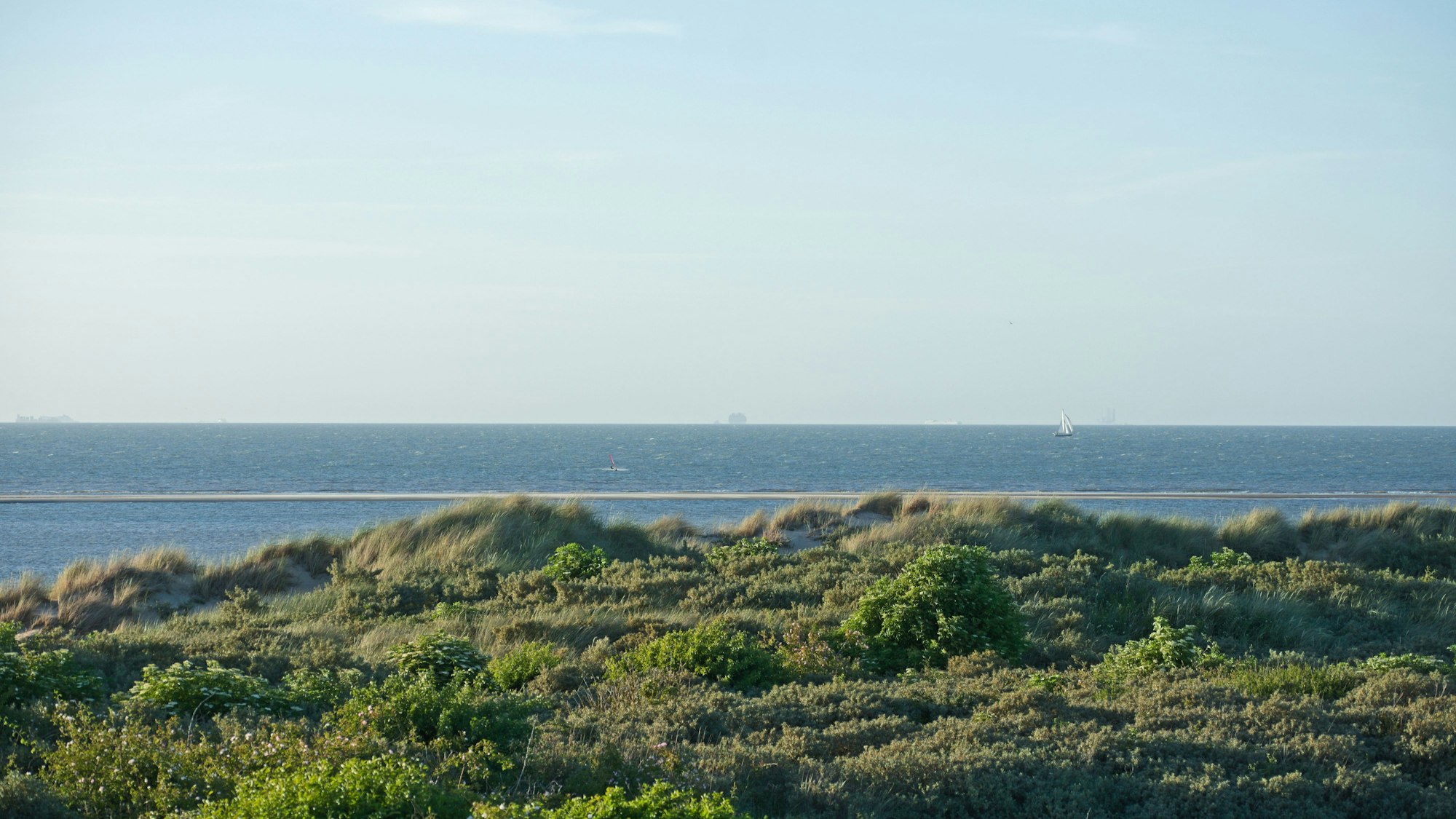 Ouddorp Dünen und Blick auf die Nordsee, Süd-Holland.