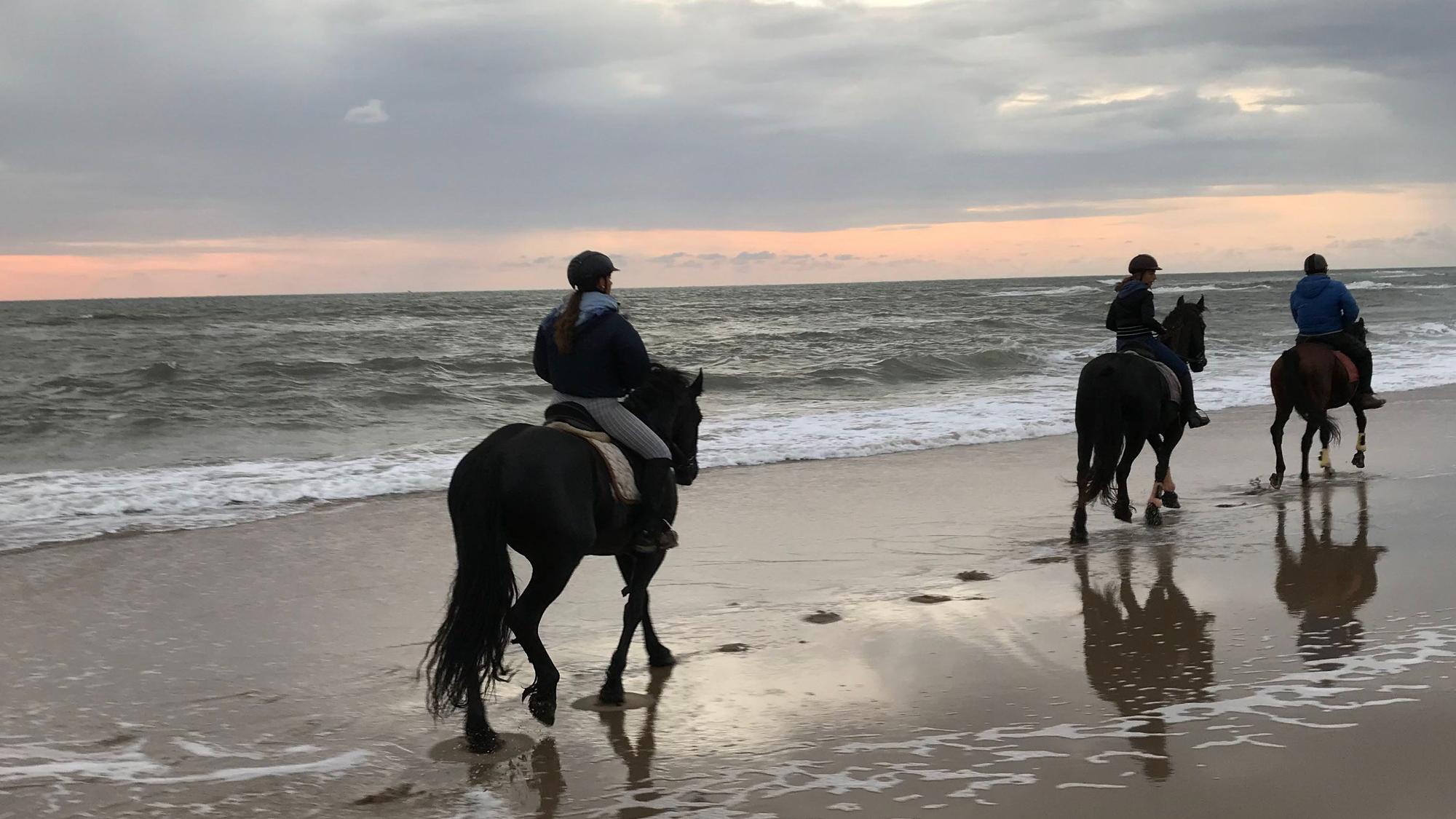 Drei Reiter und Pferde im Sonnenuntergand am Strand.