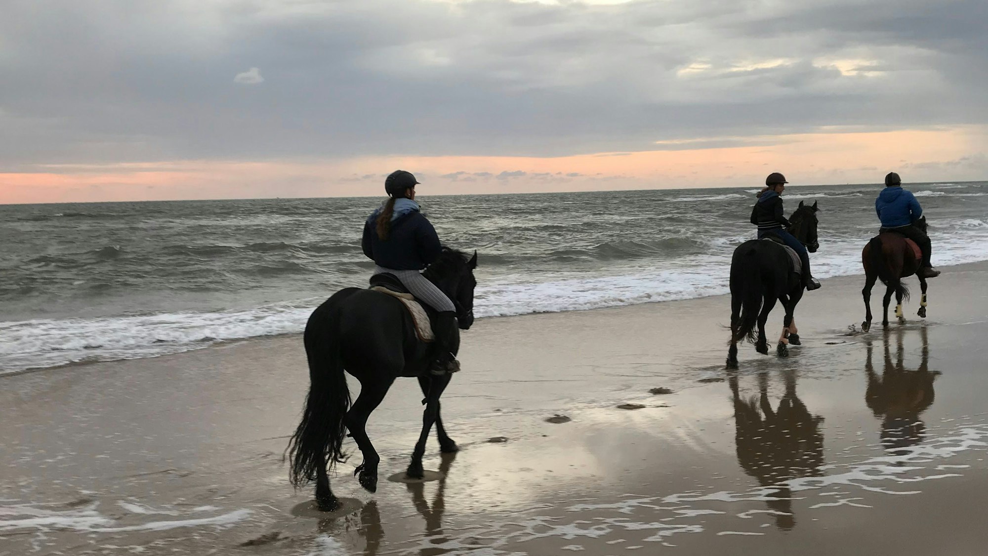 Drei Reiter und Pferde im Sonnenuntergand am Strand
