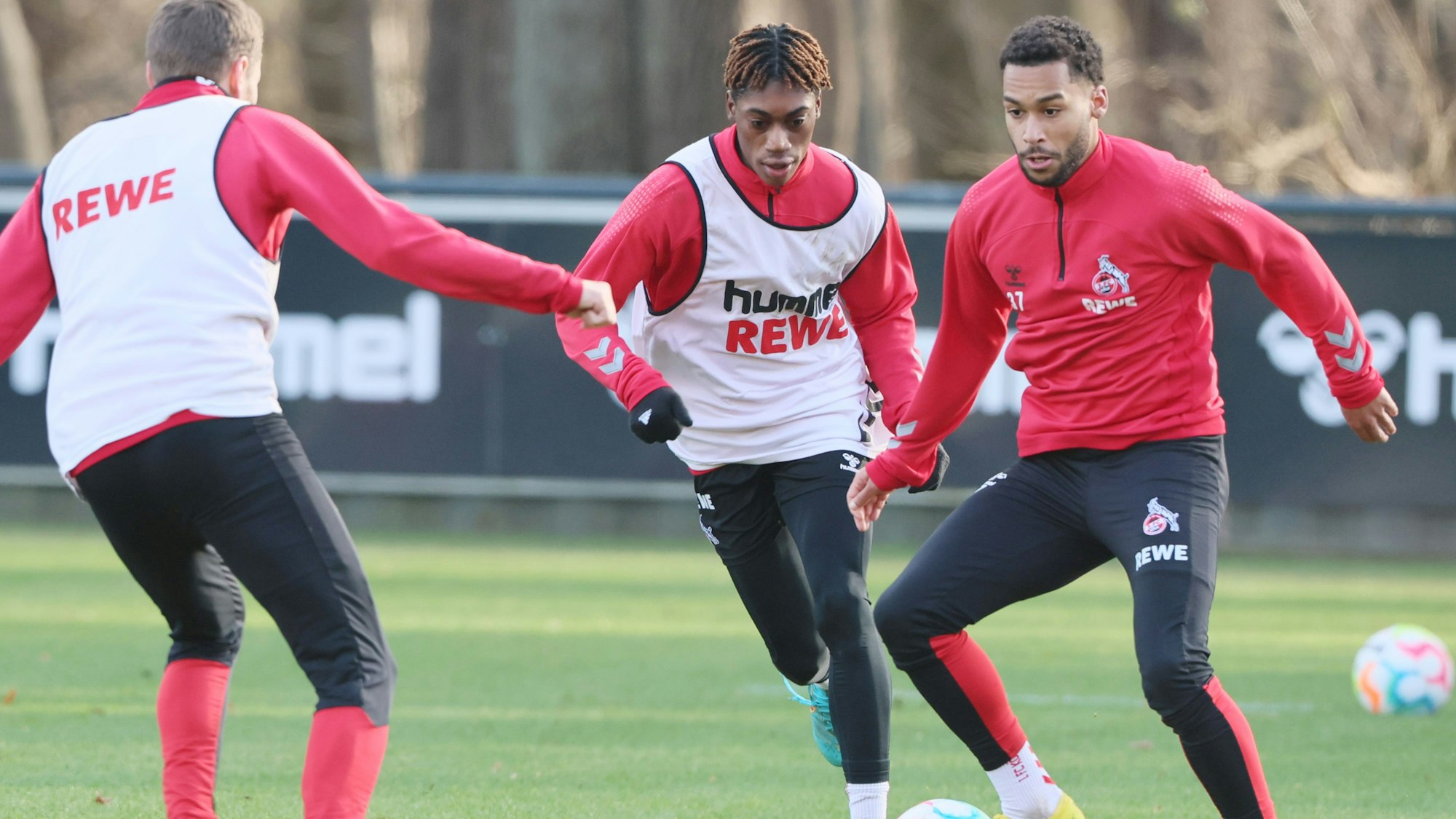 Linton Maina r.) hat in den vergangenen Monaten hart an sich gearbeitet. Der Lohn sind viele Spielminuten für den 1. FC Köln.