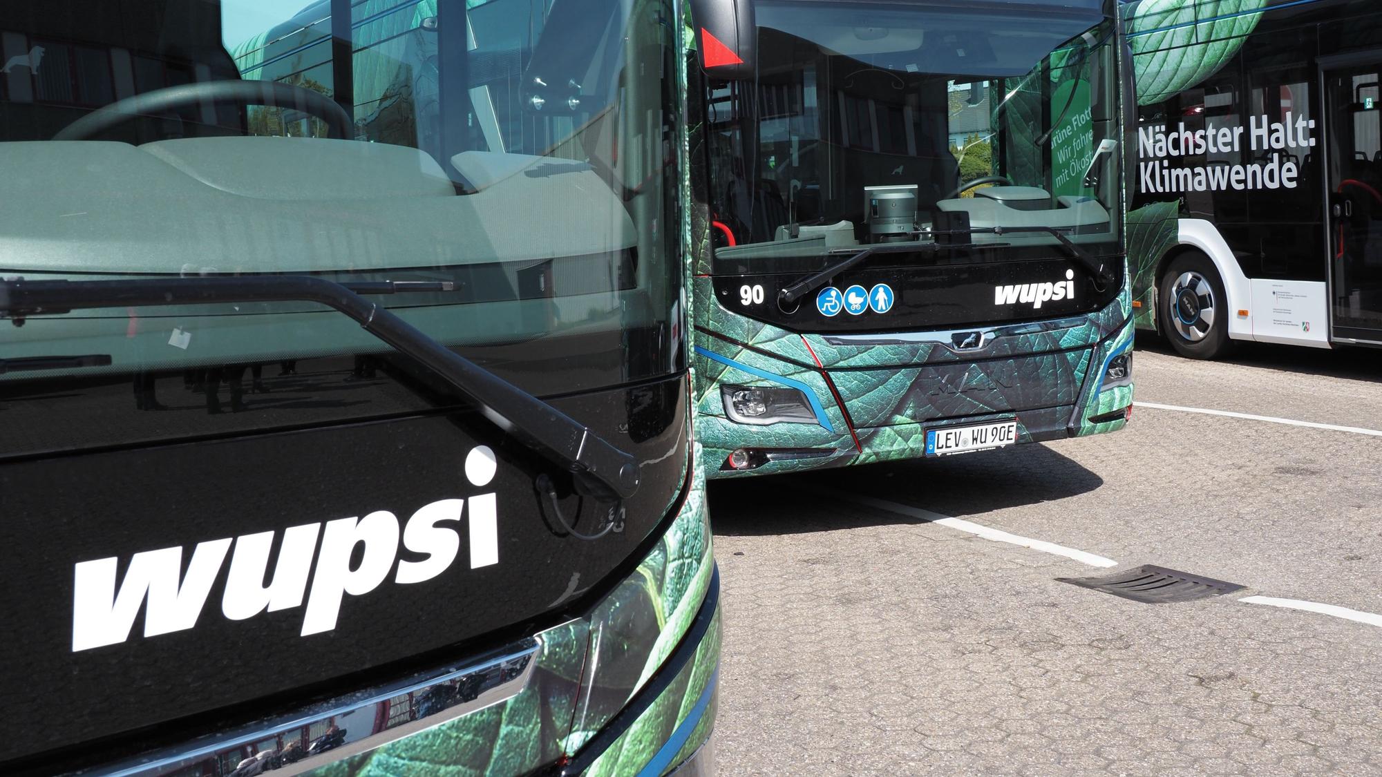 Zwei Elektrobusse der Wupsi