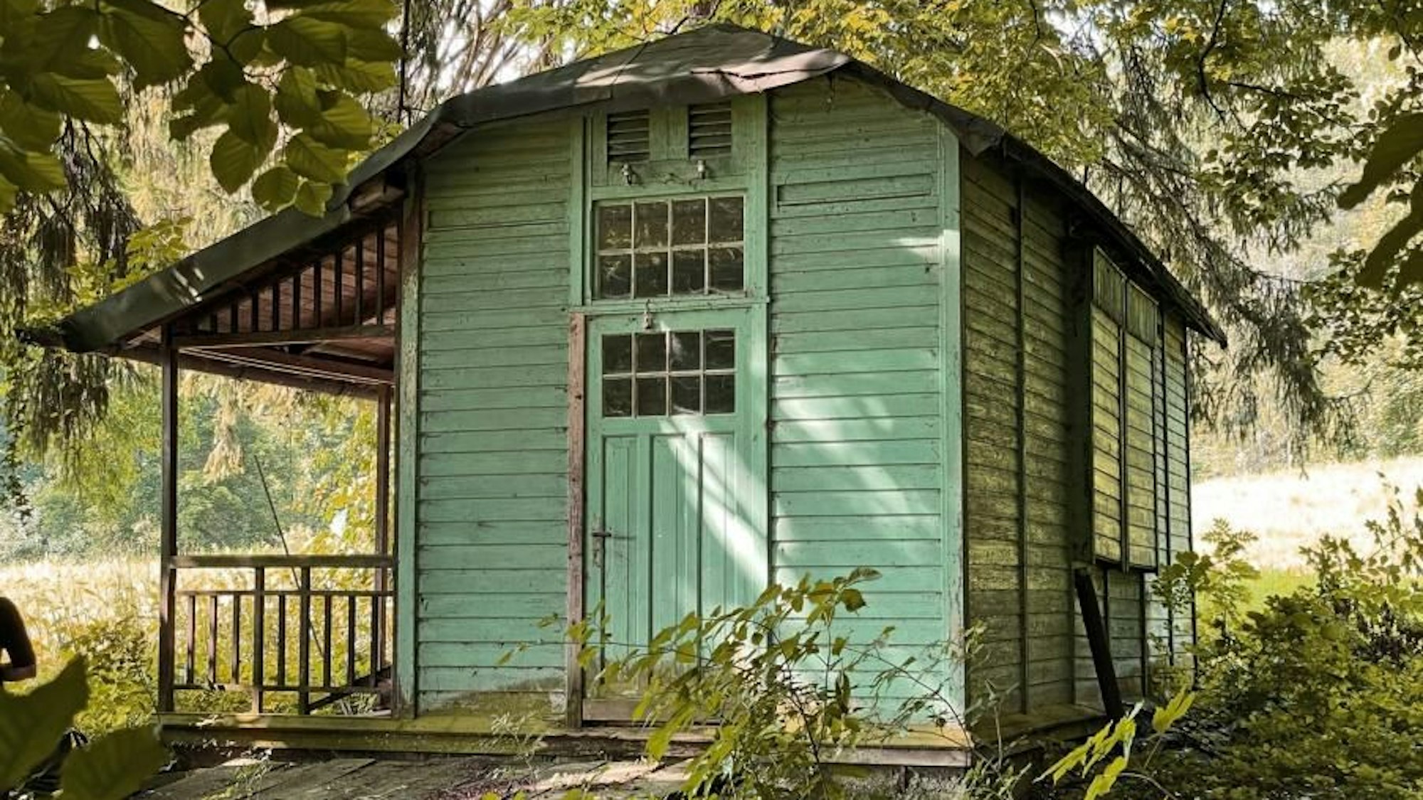 Blick auf eine grünliche Hütte aus Holz, die mitten in einem Waldstück steht.