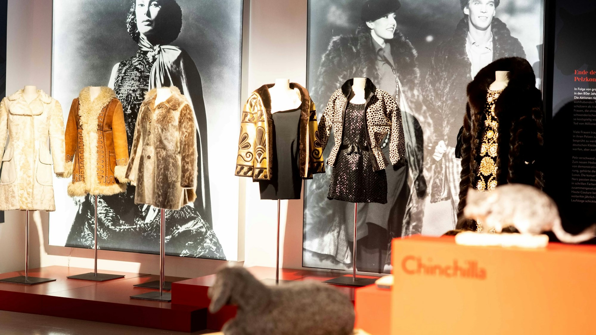 Die neue Sonderausstellung im LVR-Museum in Kuchenheim