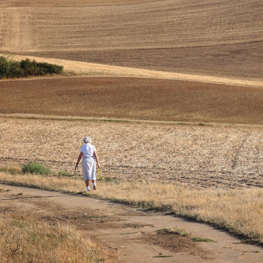 Bayern, Waldbrunn: Eine Frau geht zwischen trockenen Feldern. I