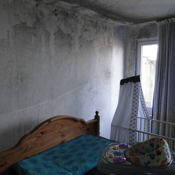 Ein Schlafzimmer, dessen Wände großflächig von schwarzem Schimmel befallen sind