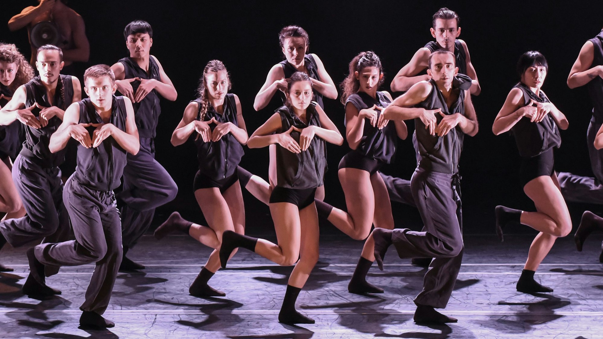 Die Kibbutz Contemporary Dance Company.