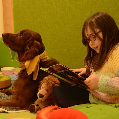 Vorlesehund Milow hört einem Mädchen beim Vorlesen zu.