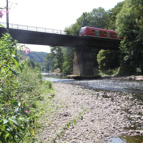 Niedrigwasser im Rhein-Sieg-Kreis, Sieg bei Happach