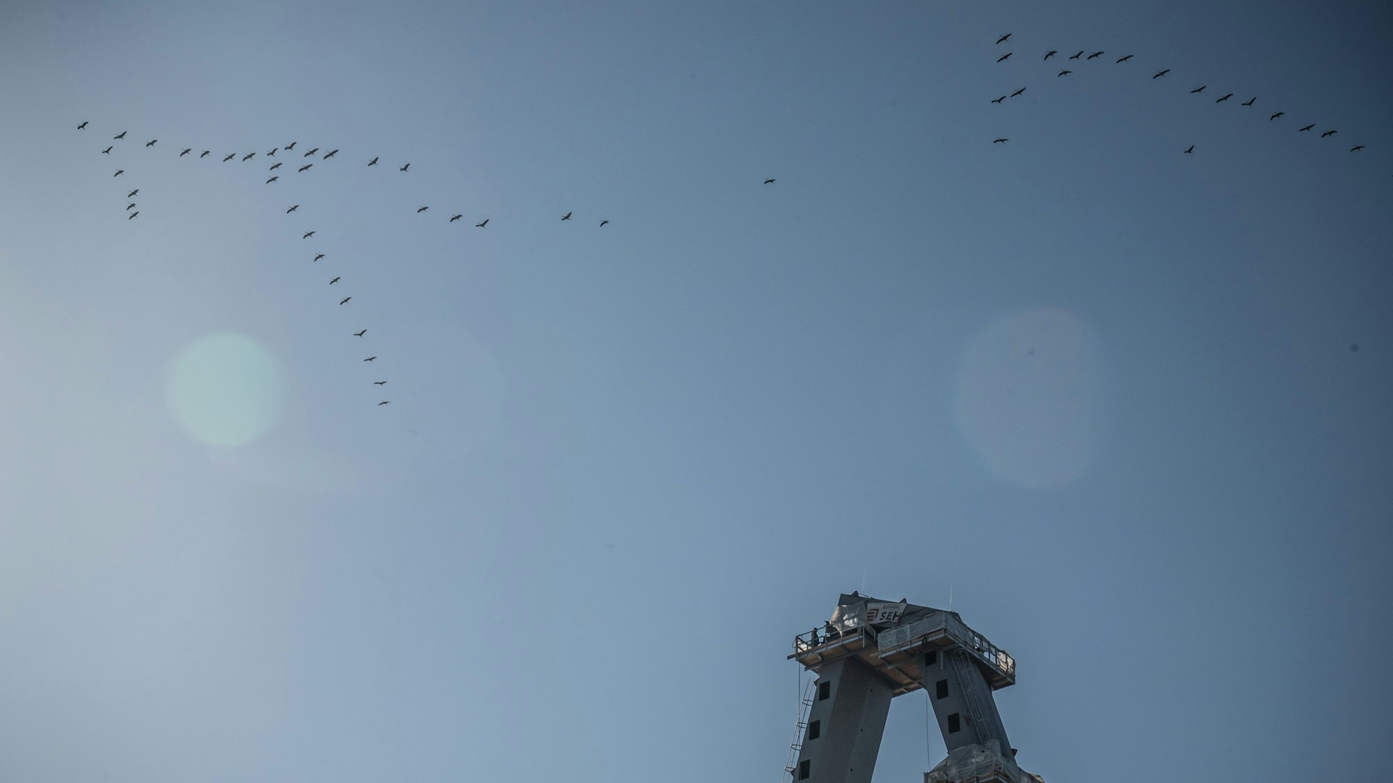 Ein Schwarm Kraniche über Leverkusen