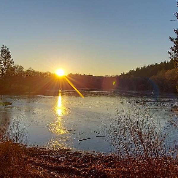 Vorstau des Kronenburger Sees bei Sonnenuntergang.