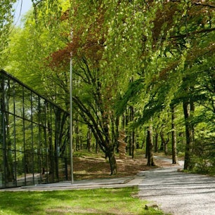 Im Skulpturenpark Waldfrieden.