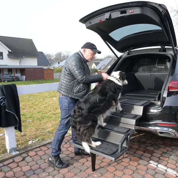 Karl-Heinz Kamlage mit Testhund Otto, der die Treppe gelassen nimmt.
