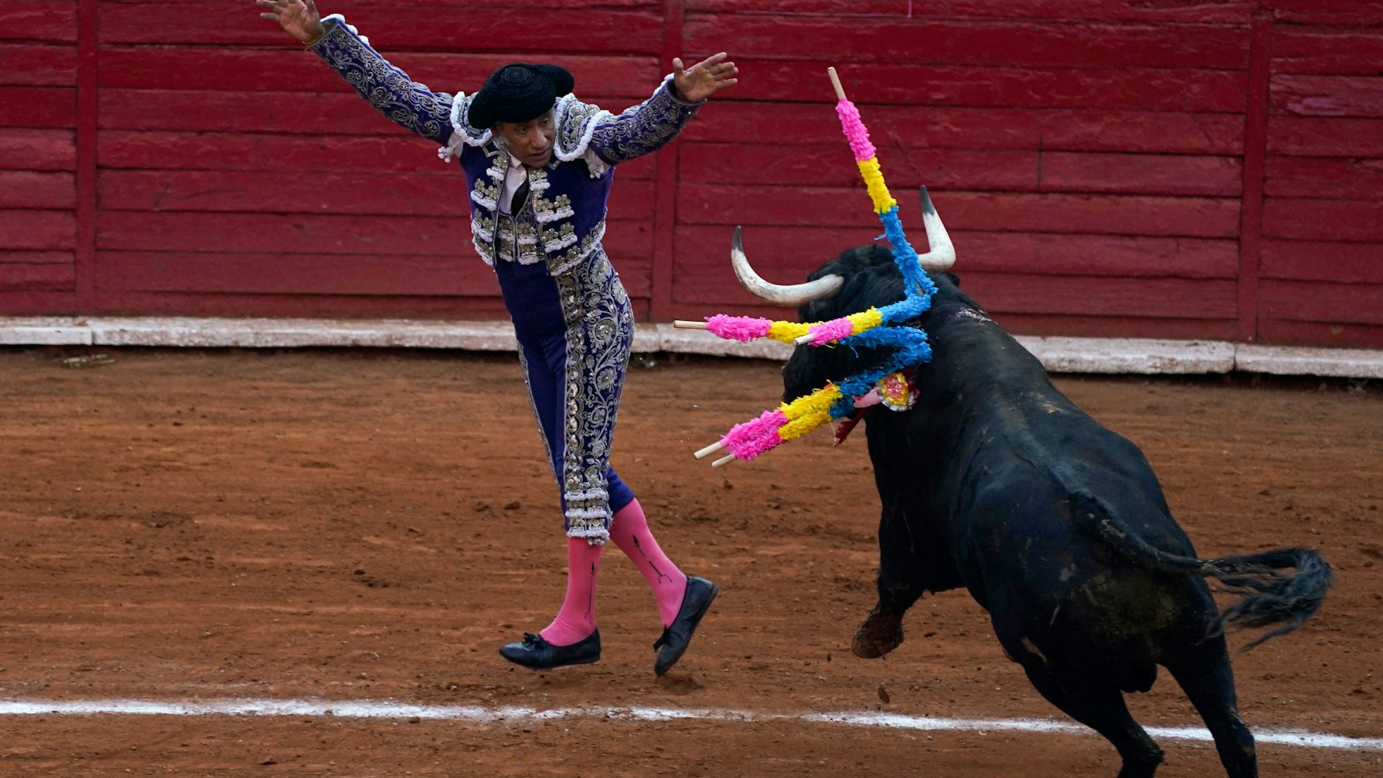 Ein «Banderillero» nagelt während eines Stierkampfes in der Stierkampfarena Plaza de Toros Mexico in Mexiko-Stadt zwei «Banderillas» an einen Stier.