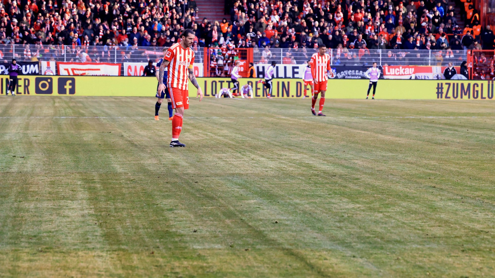 Der neu verlegte Rasen im Stadion an der Alten Försterei in Berlin.