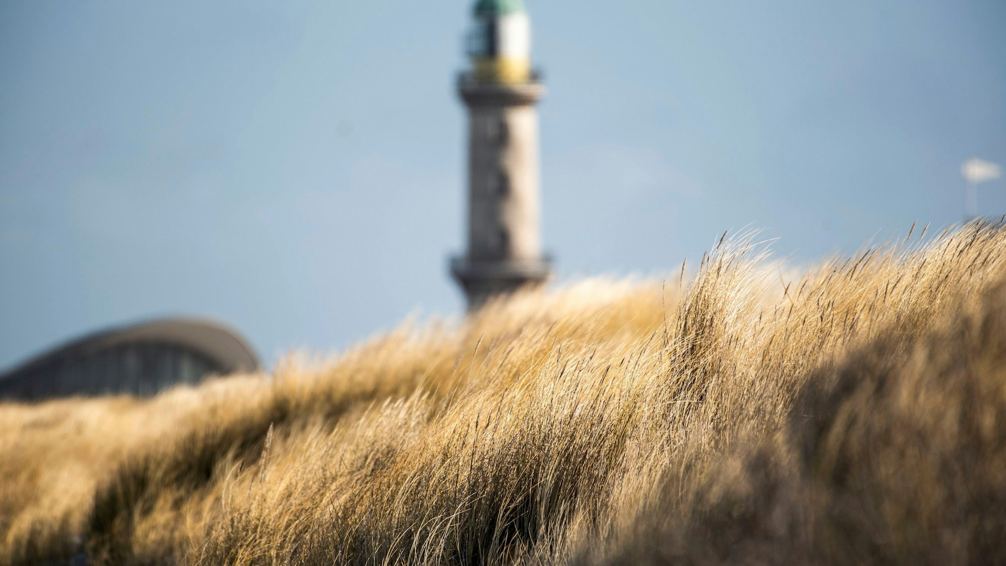Die Dünen leuchten am Ostseestrand von Warnemünde in Mecklenburg-Vorpommern