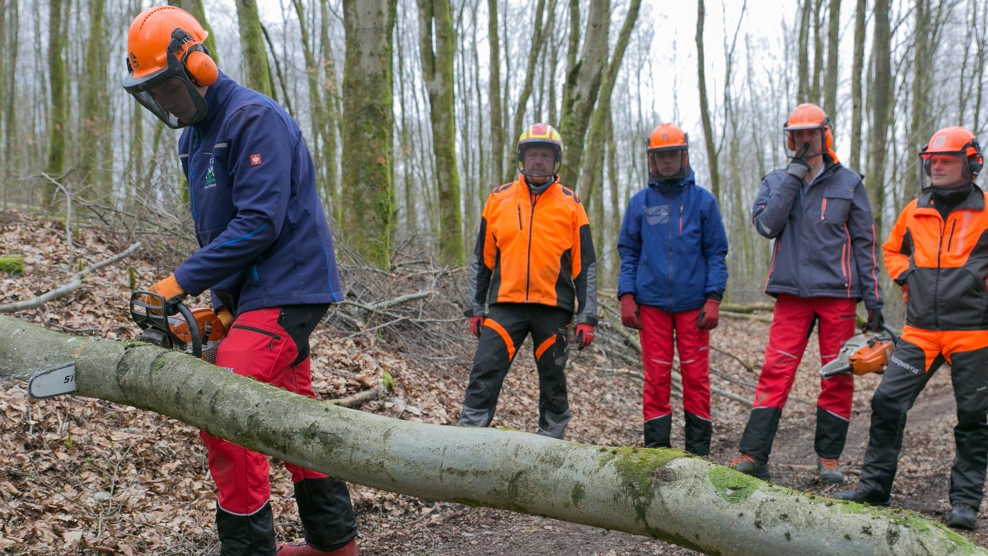 Teilnehmer des Motorsägenkurses legen im Wald bei Reichshof-Obersteimel Hand an.