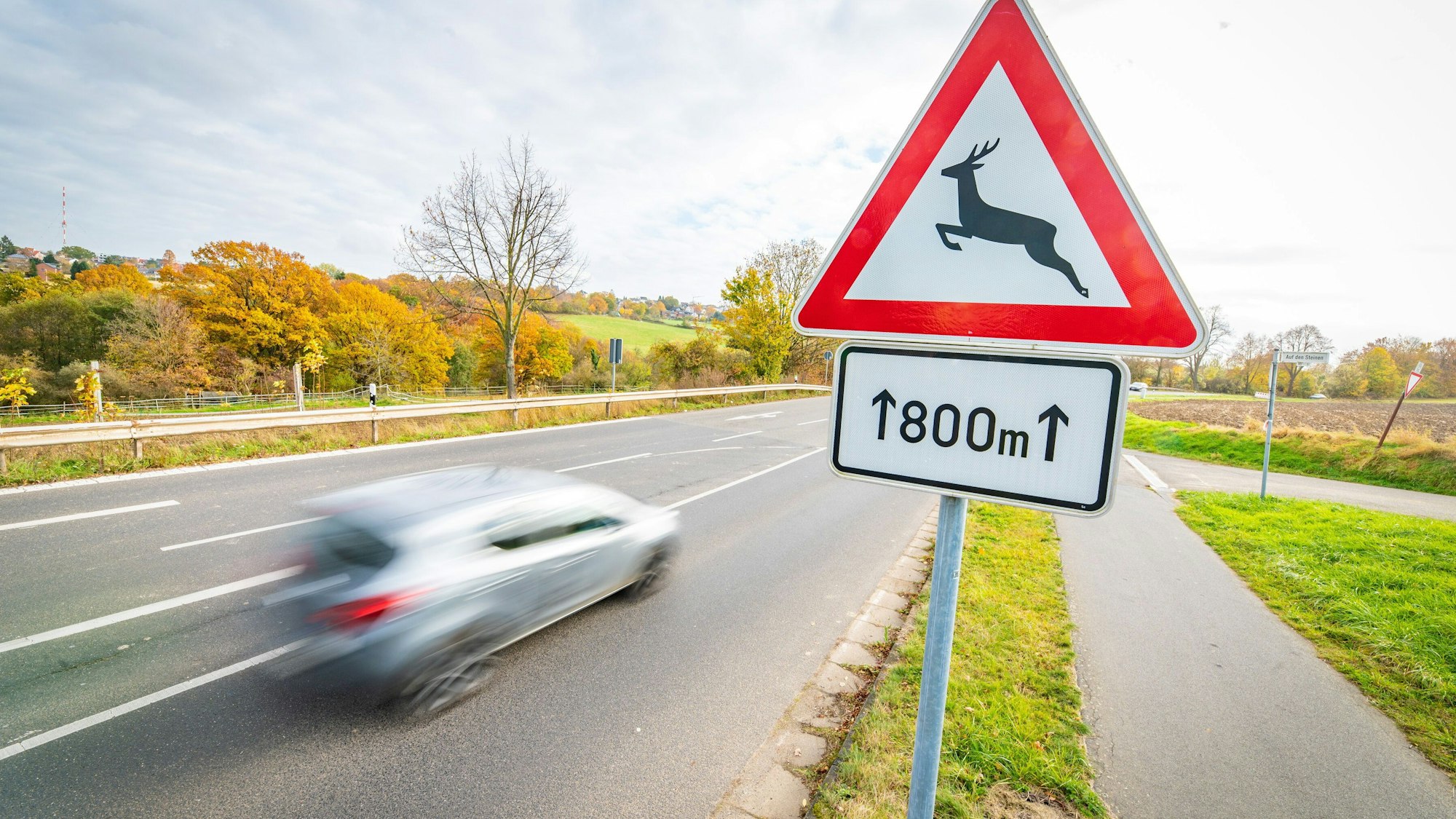 Auf dem Foto sind ein Verkehrsschild, das vor Wildwechseln warnt, und ein vorbeifahrendes Auto zu sehen.