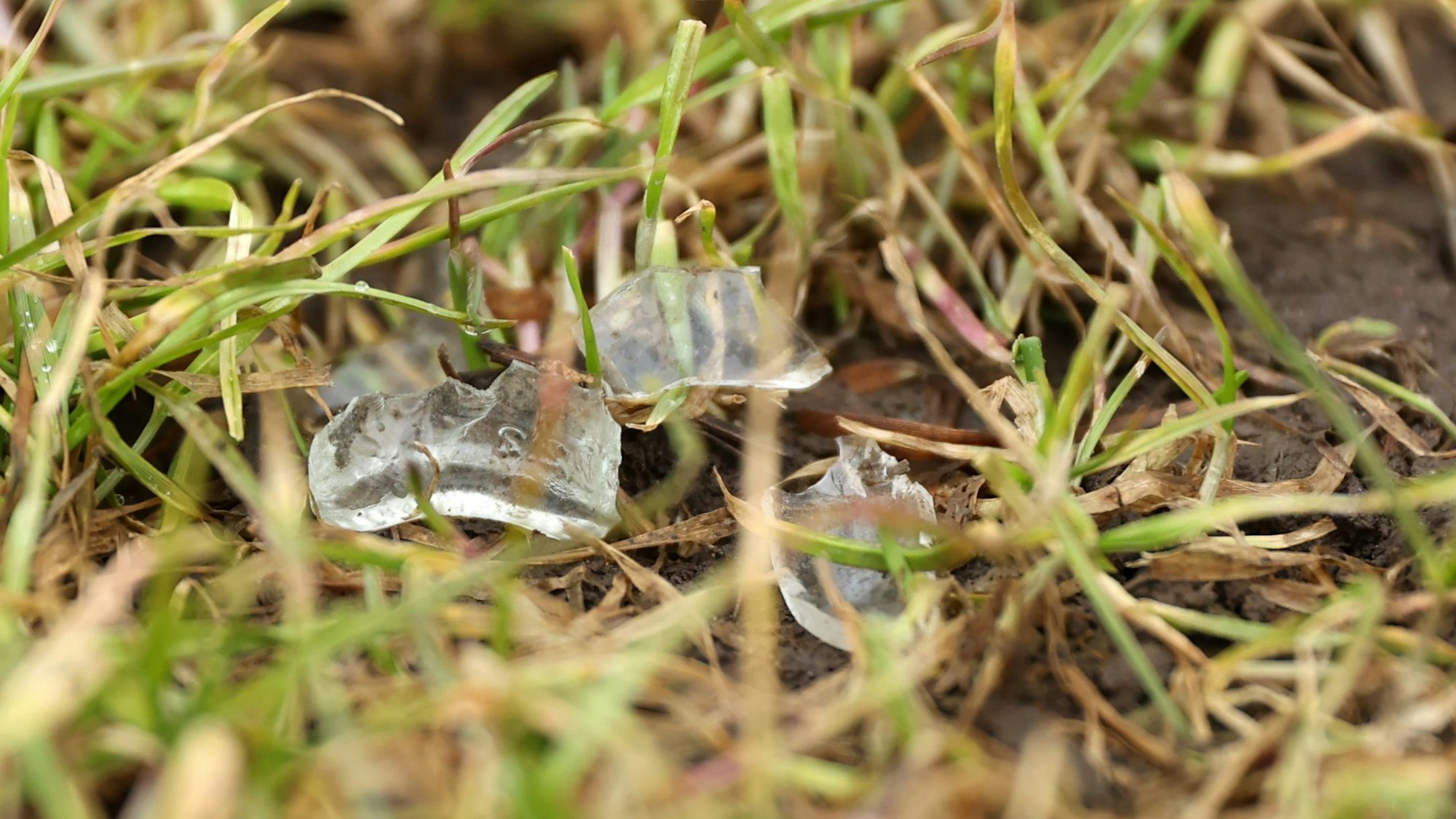 Glassplitter liegen auf der Uniwiese.