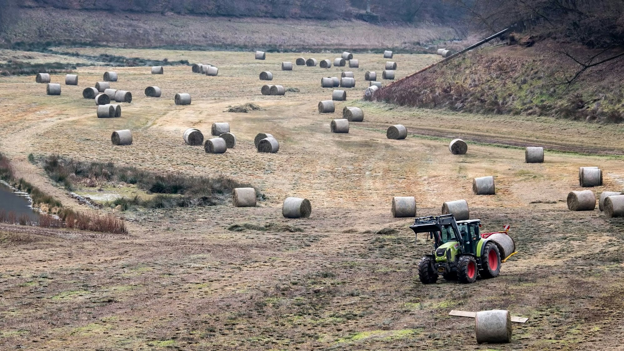 In der Steinbachtalsperre hat ein Landwirt im Auftrag der e-regio Mäharbeiten getätigt. Die Steinbachtalsperre soll in den kommenden Tag vermessen werden.