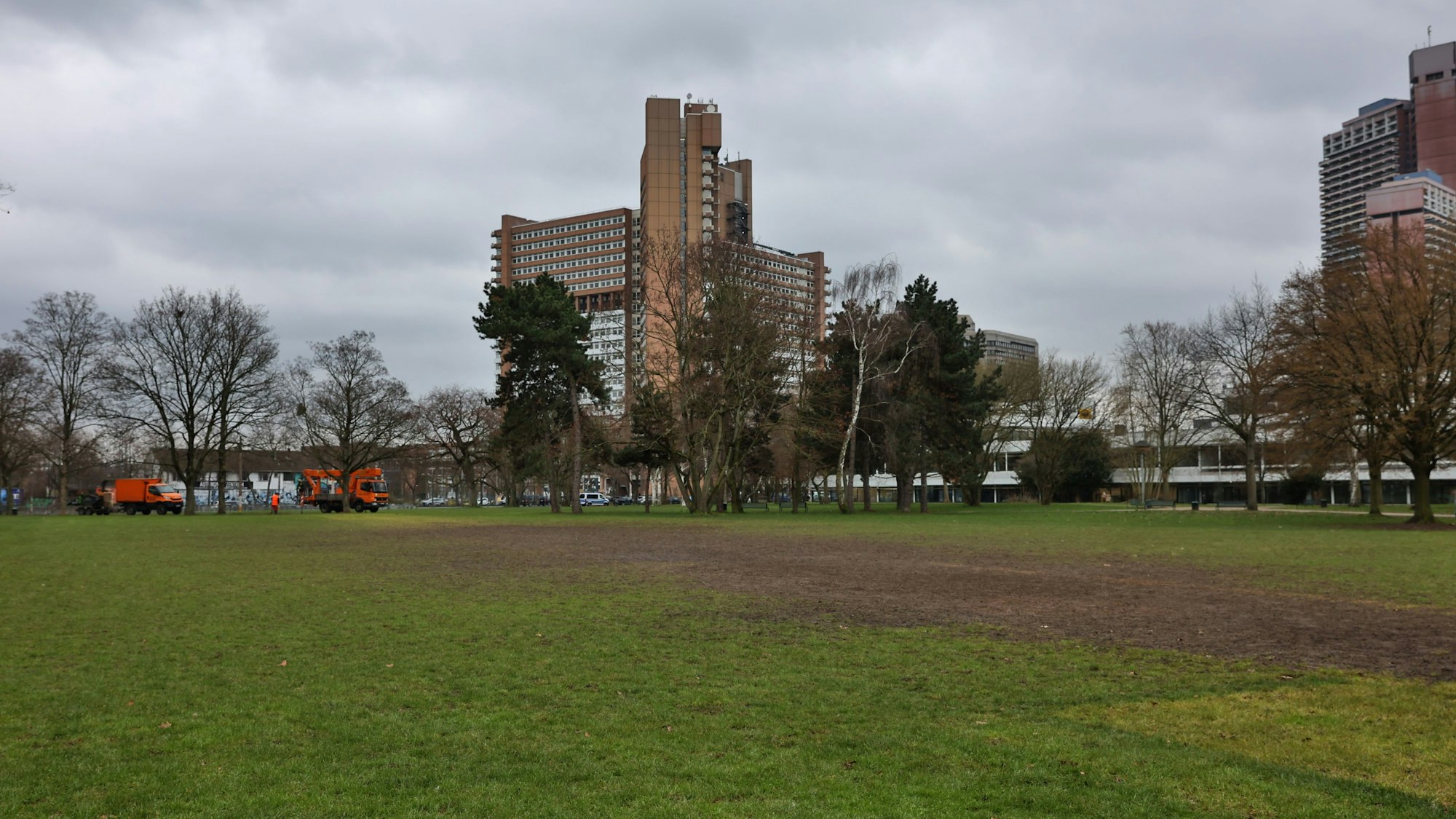 So sieht der Abschnitt der Uniwiese in Richtung Luxemburger Straße aktuell aus. In der Mitte der Rasenfläche befindet sich ein großer, brauner Fleck.