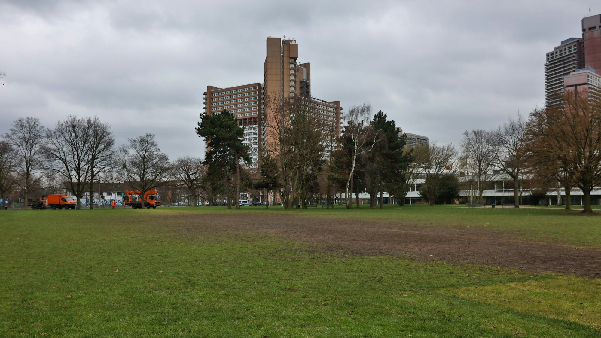 Die Wiese ist mit braunen Flecken übersät.