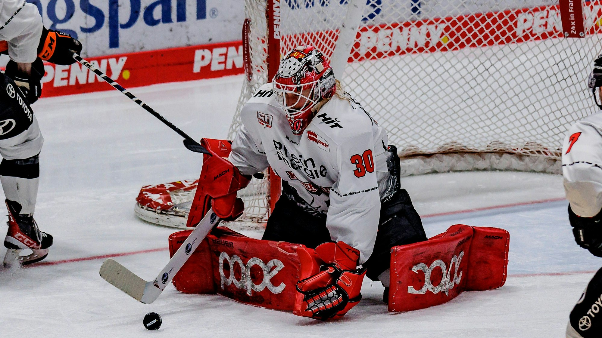 Mirko Pantkowski von den Kölner Haien.