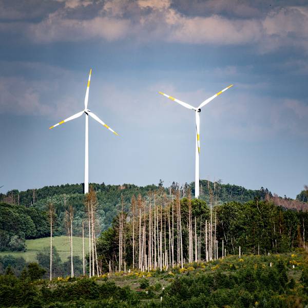 Zwei Windräder stehen in einem Waldstück.