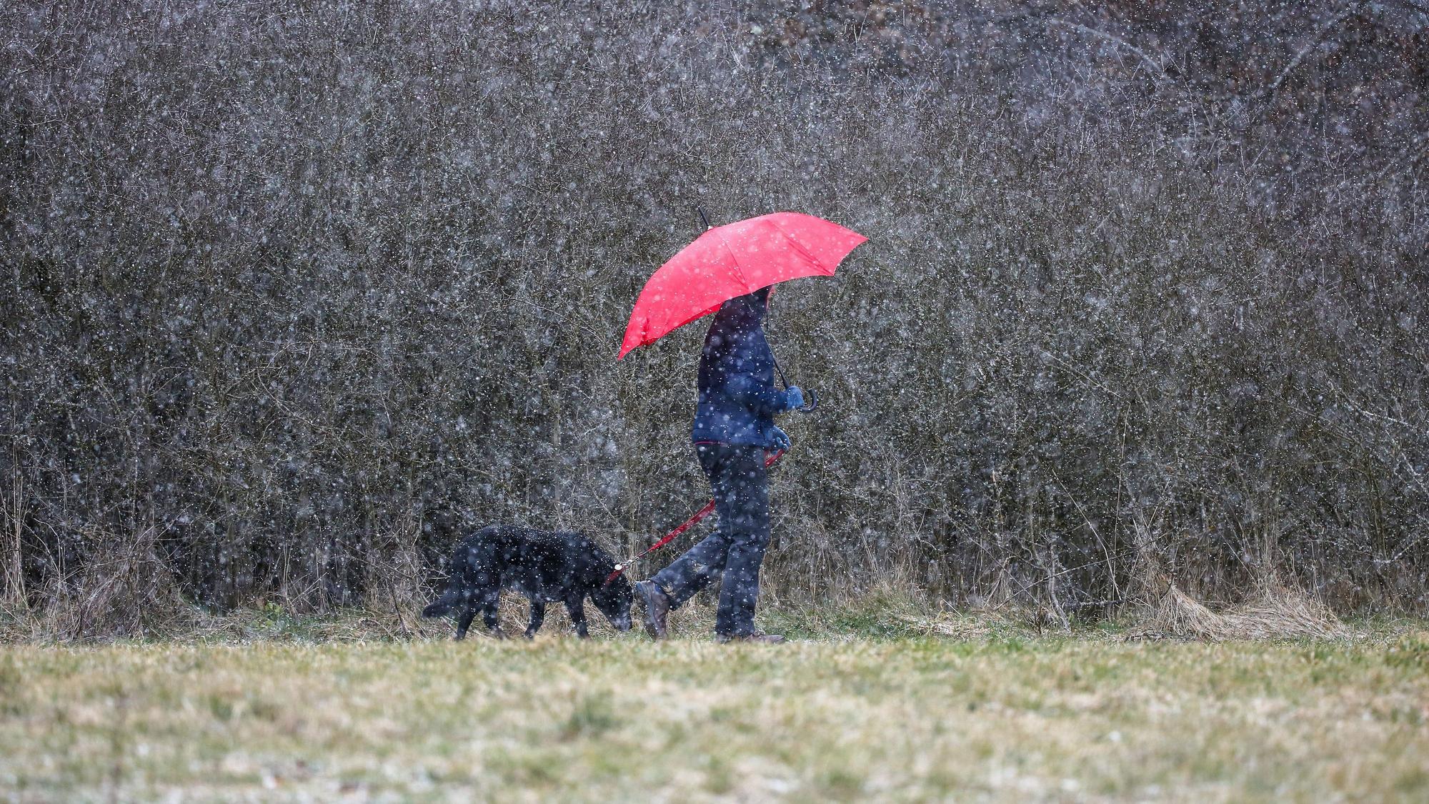 Eine Frau läuft mit ihrem Hund im Schneetreiben spazieren.