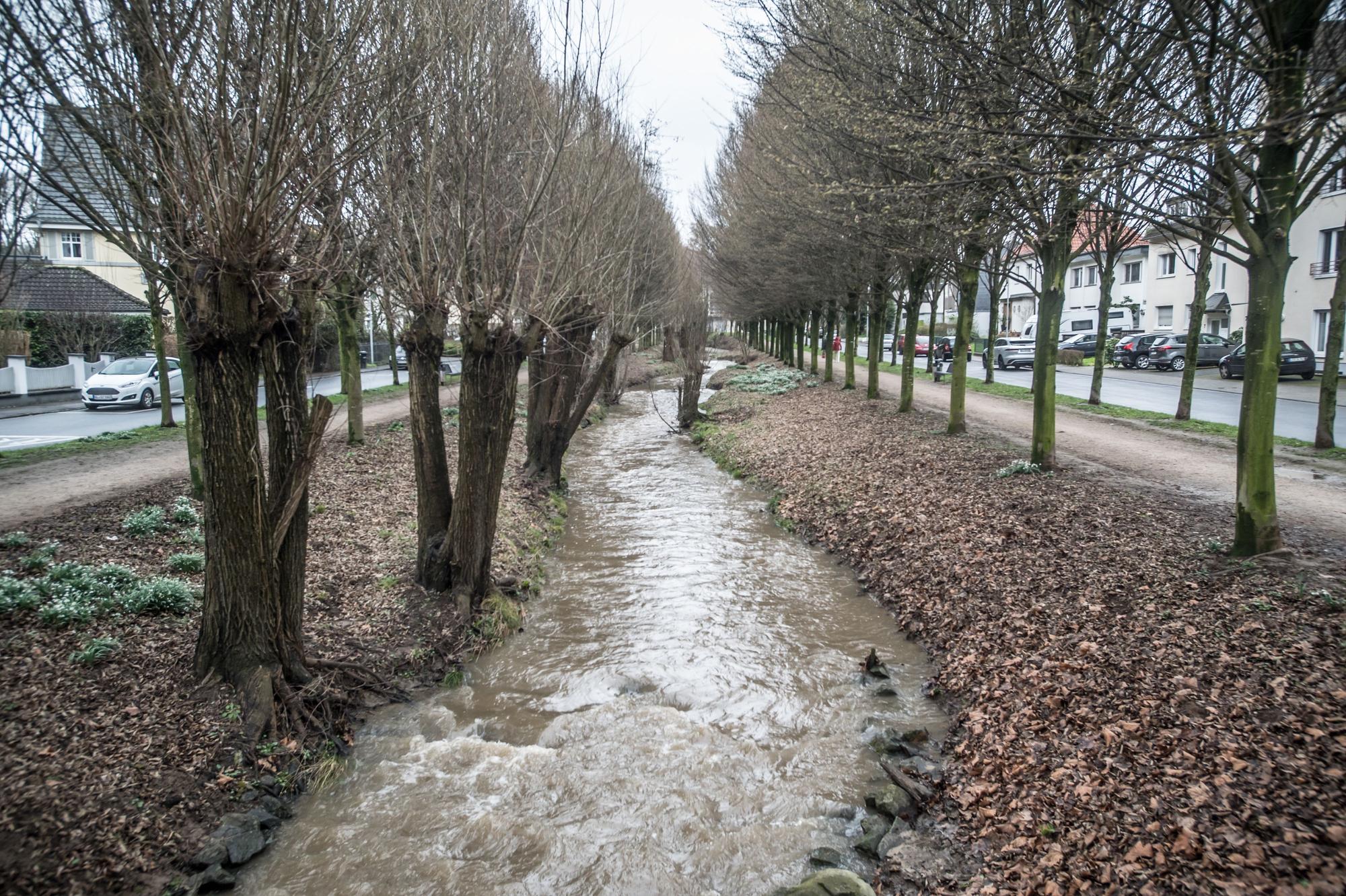 Wiembach: Braunes wasser, aber kein Hochwasser. Foto: Ralf Krieger