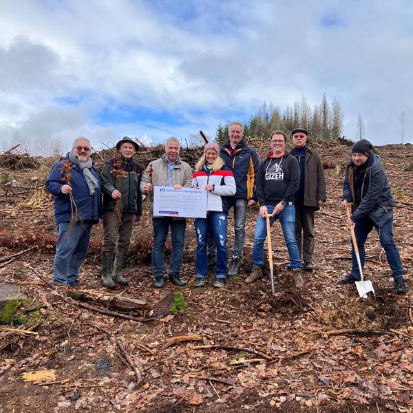Mehrere Personen stehen mit Spaten auf einer kahlen Waldfläche nebeneinander. Vor ihnen sind Setzlinge zu sehen. In der Mitte halten sie einen Spendenscheck, auf dem die Summe 30.000 Euro eingetragen sind.