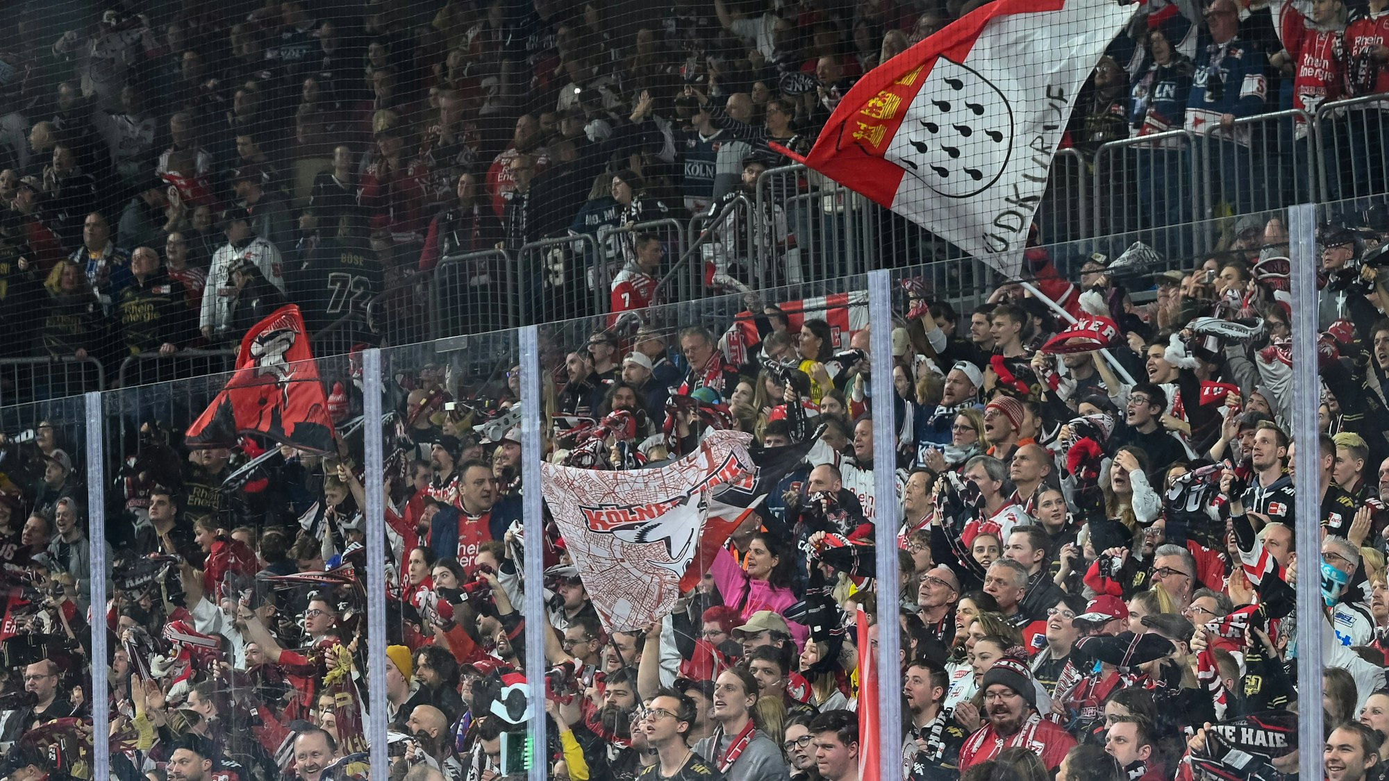 Fans der Kölner Haie in der Lanxess-Arena