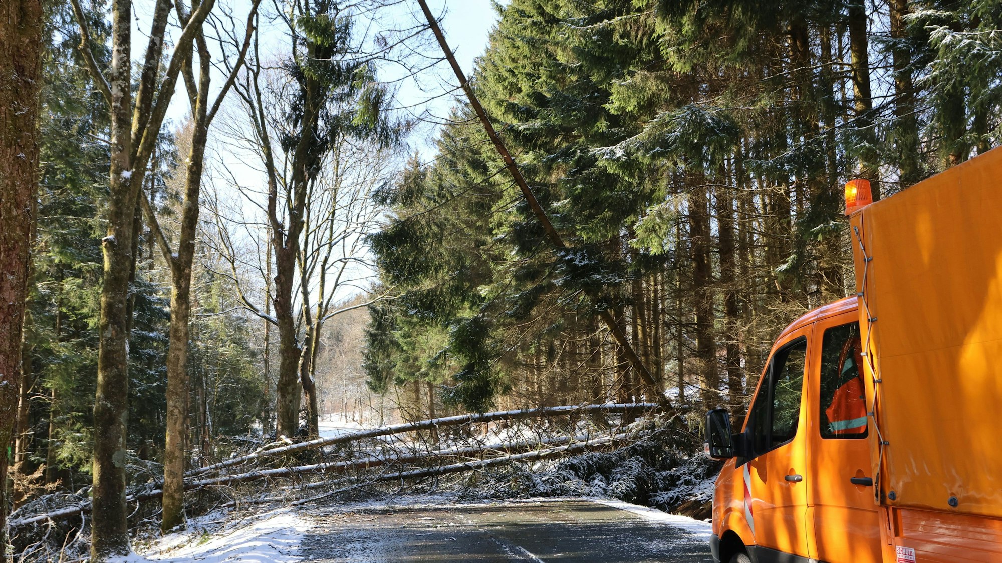 Umgestürzte Bäume auf der Landesstraße 351