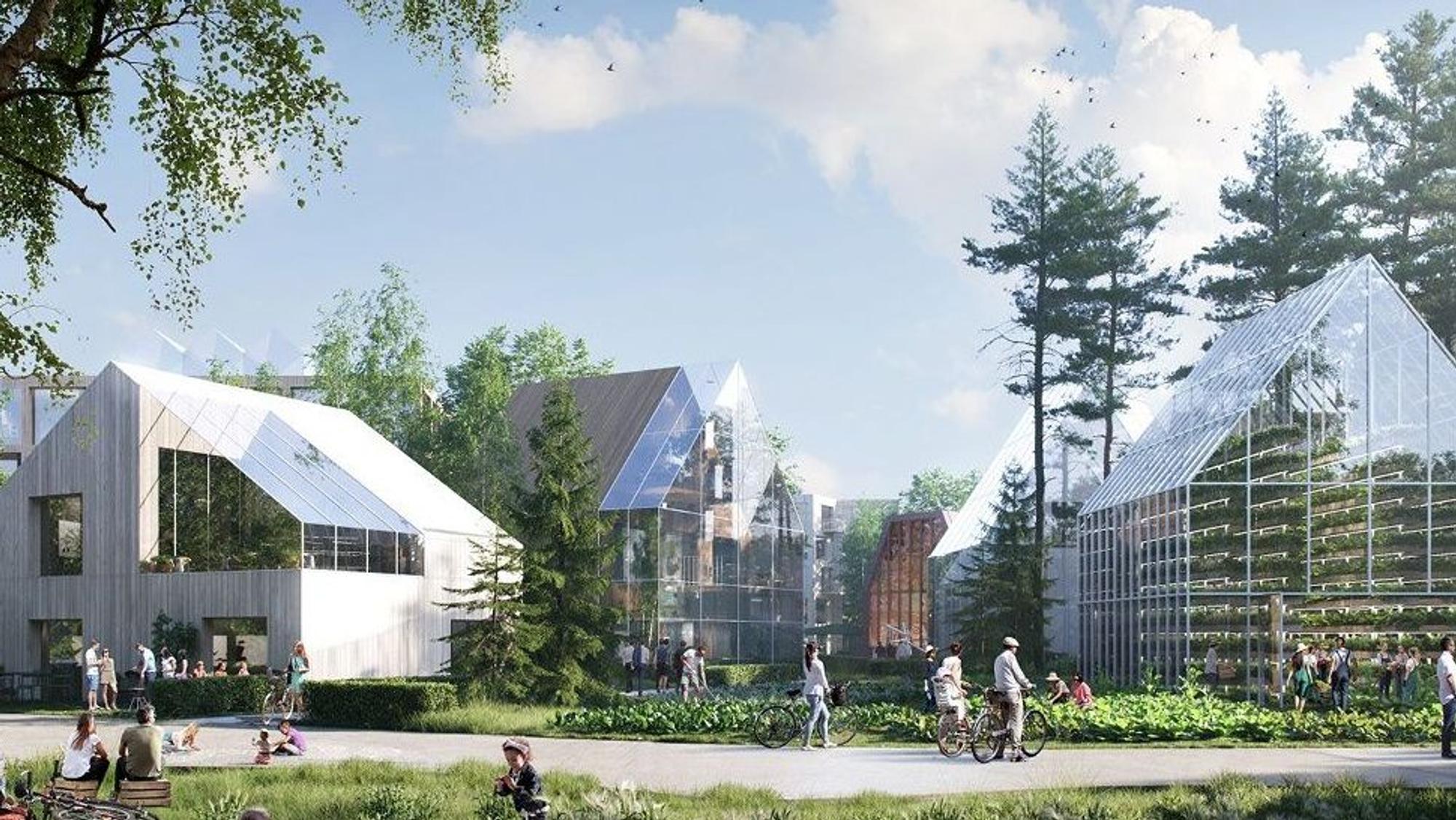 Visualisierung des neuen Kölner Stadtteils Kreuzfeld.