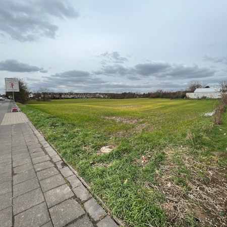 Auf einem Feld an der Straße sollen Wohnungen gebaut werden.