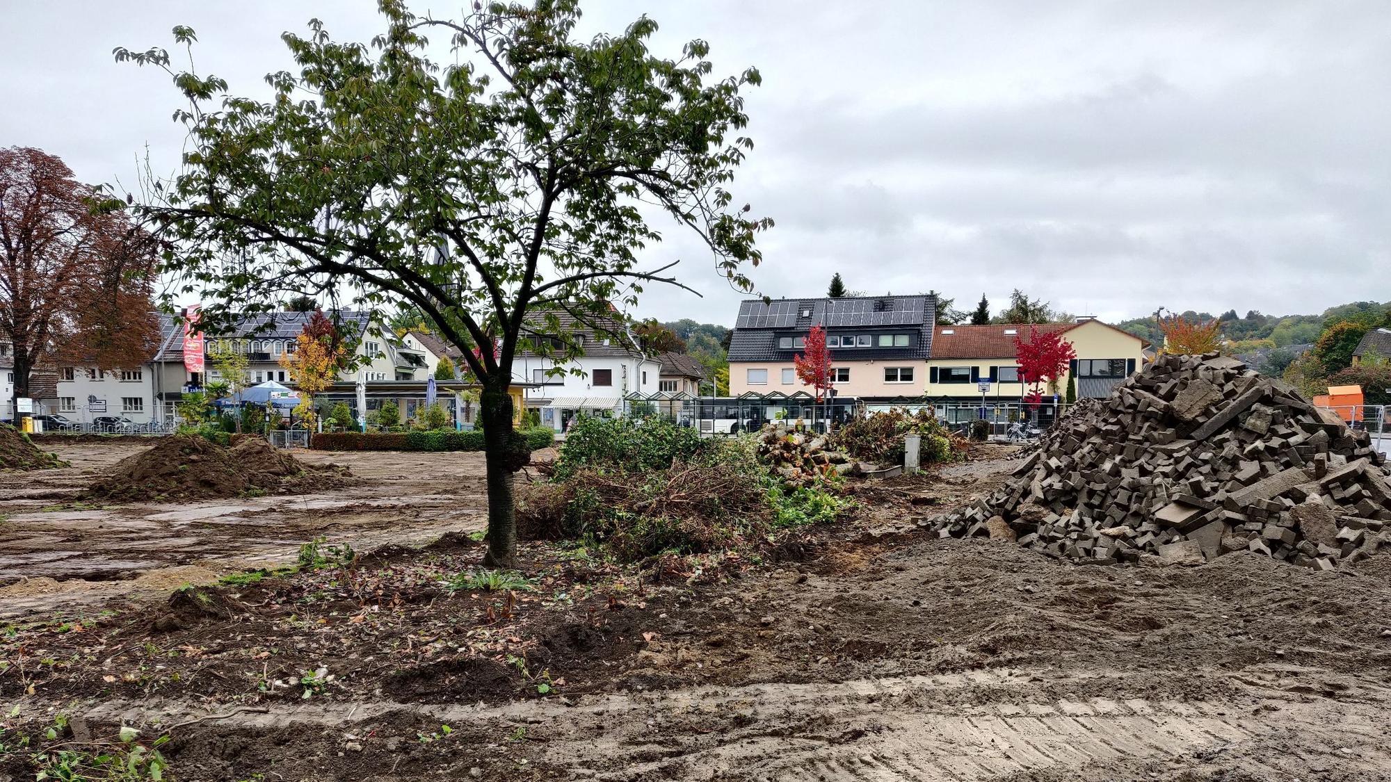 Geplante Baumreihe für die NSU-Gedenkstätte im Stadtpark