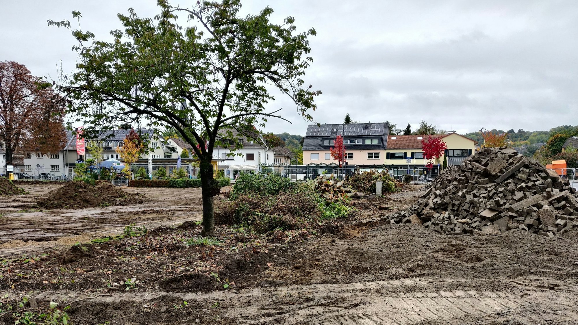 Geplante Baumreihe für die NSU-Gedenkstätte im Stadtpark