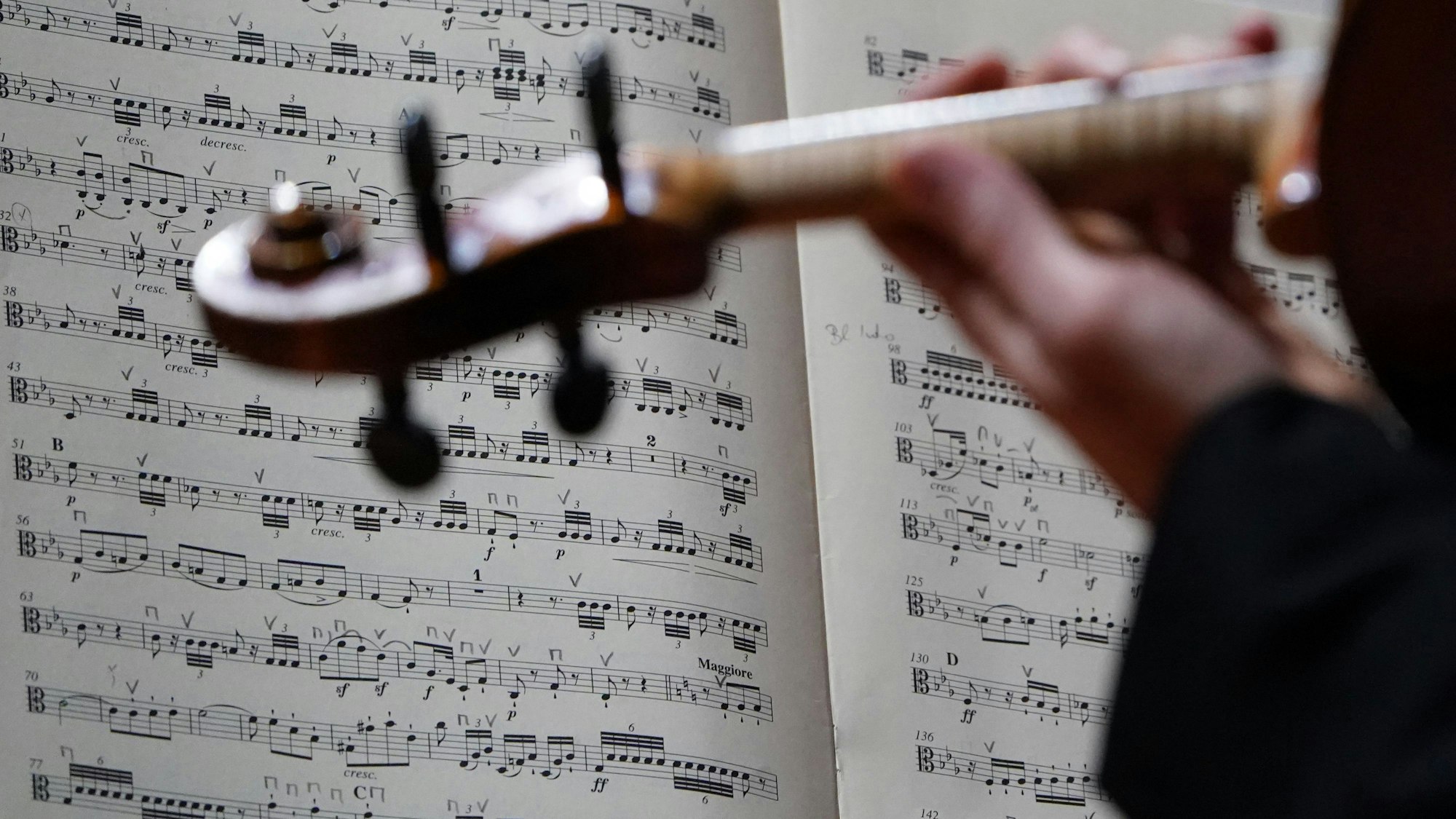 Ein Orchester-Musiker spielt und blickt auf seine Noten.