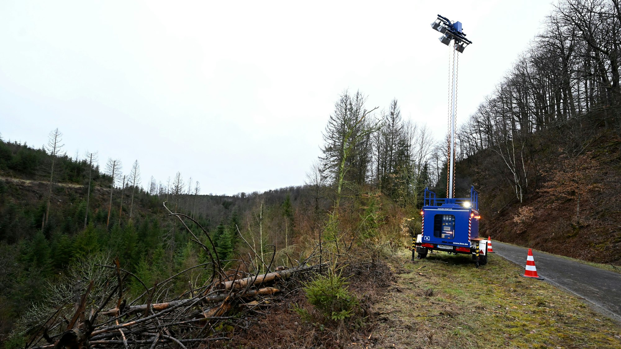 Das Waldstück bei Freudenberg, in dem am Sonntag die Leiche eines 12-jährigen Mädchens gefunden wurde.