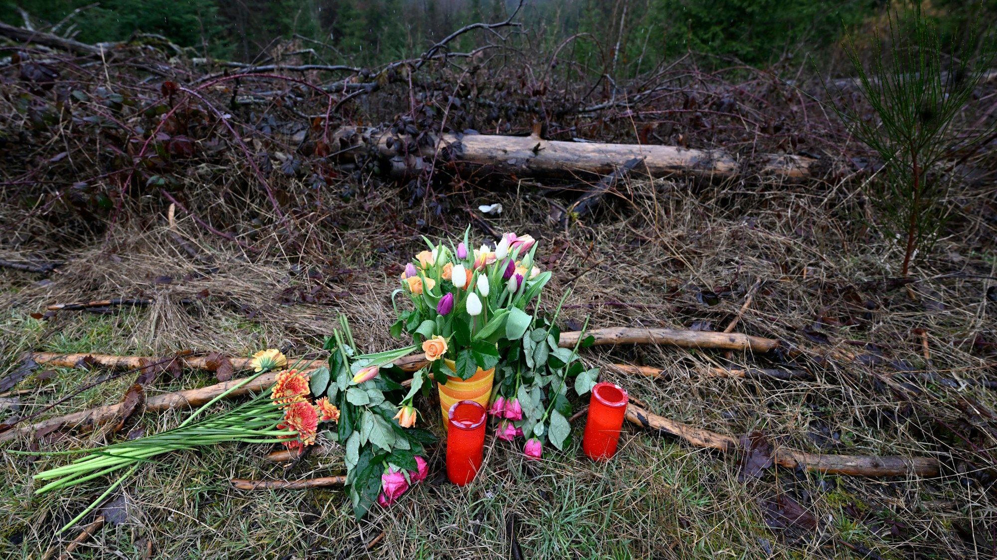 Blumen und Kerzen wurden am Fundort des getöteten Mädchens Luise niedergelegt.