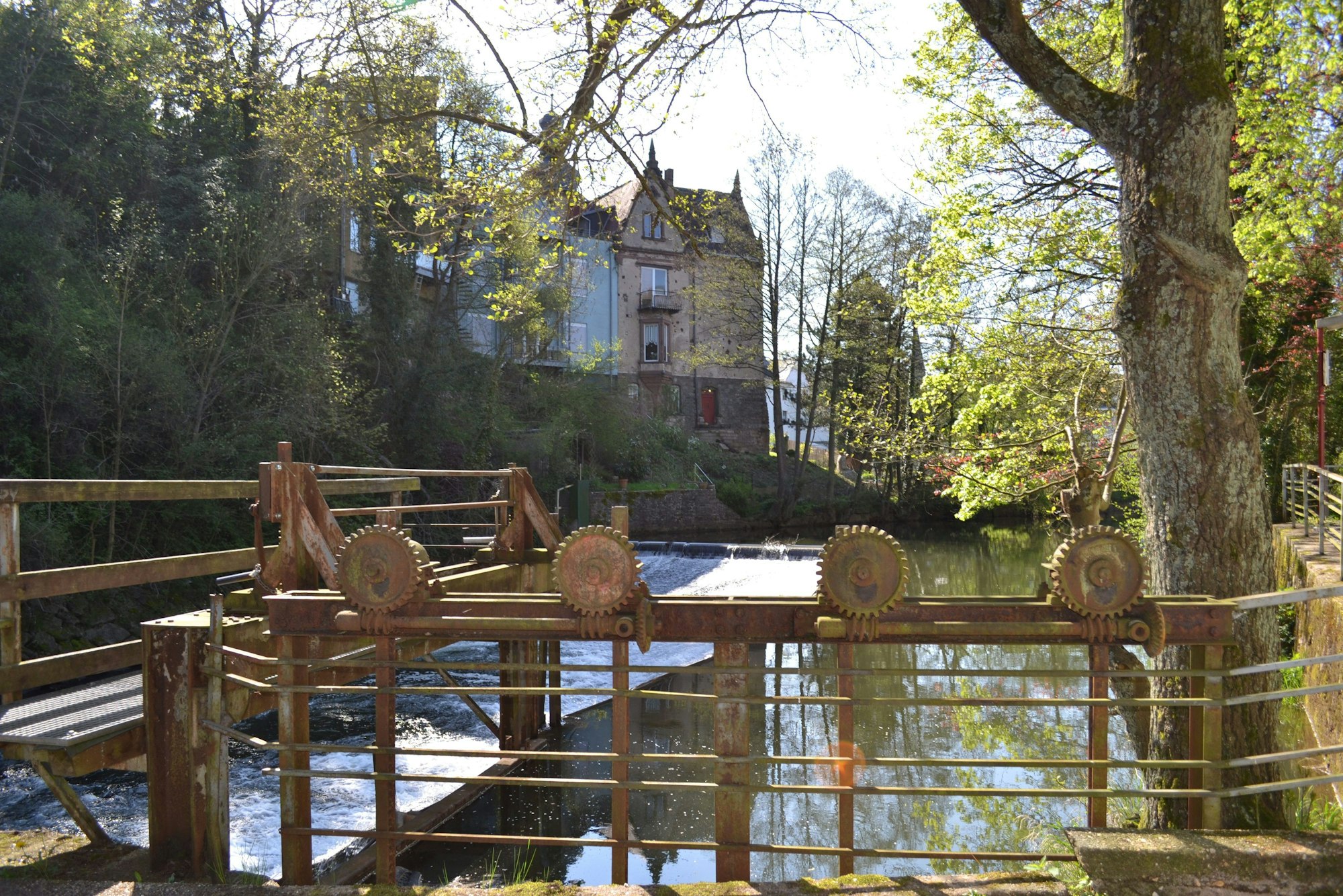 Idyllischer Blick auf das Gemünd Wehr Urft, wo Hubert Verbeek die Errichtung eines 100 kW-Wasserkraftwerks plant. Die Sonne scheint frühlingshaft durch zartes Baumgrün auf das Wasser. Im Hintergrund ist ein Altbau zu sehen.