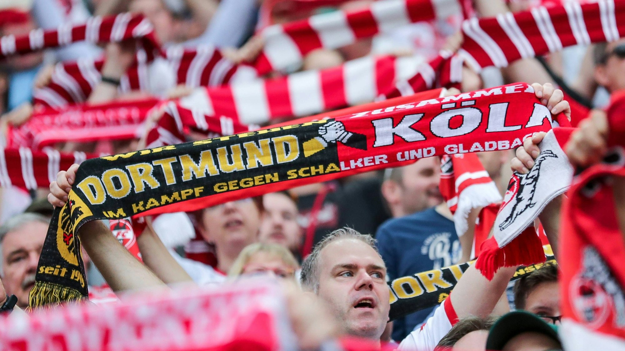 Ein Fußball-Fan hält einen Fan-Schal hoch, auf dem die Logos und Schriftzüge von Borussia Dortmund und dem 1. FC Köln zu sehen sind.