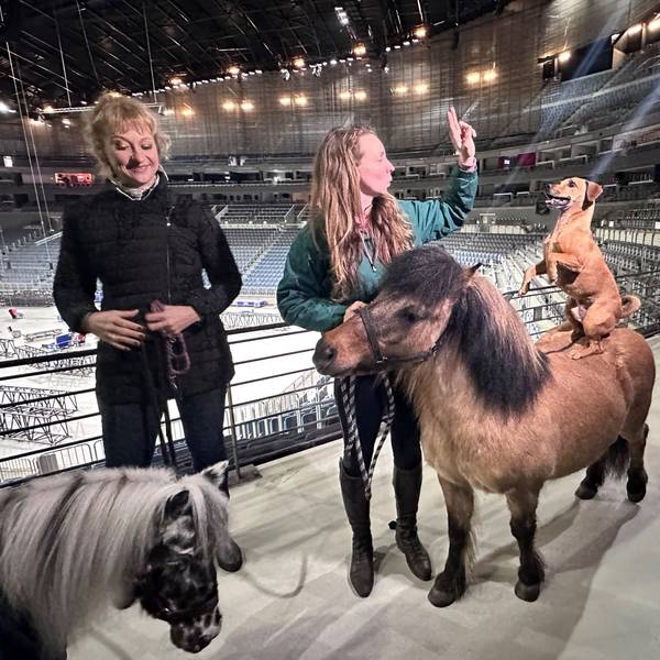 Zwei Frauen, ein Pferd und ein balancierender Hund posieren für ein Foto.